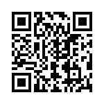 V24B48T250BG QRCode