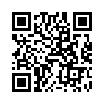 V24B48T250BS QRCode