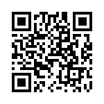 V24C12T100BS3 QRCode