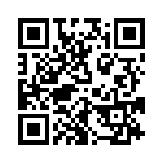 V24C36T100B3 QRCode