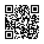 V28A5T175B3 QRCode