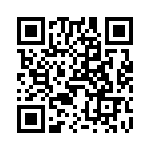 V28C24T100BS2 QRCode