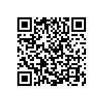 V300A3V3T200BN2 QRCode