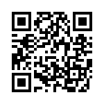 V300B28E250B2 QRCode