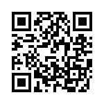 V300B28T250BG QRCode