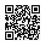 V300B28T250BL QRCode