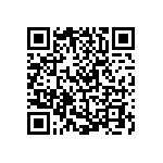 V300B3V3T100BN3 QRCode