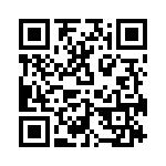 V300B48T250BG QRCode