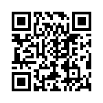 V48B28T250BS QRCode