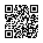 VE-213-IV-B1 QRCode