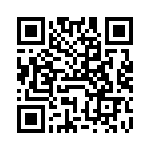 VE-2NT-IV-B1 QRCode