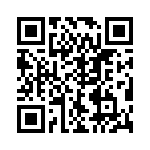 VE-B33-IV-B1 QRCode