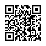 VE-B3P-IV-F1 QRCode