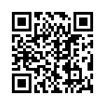 VE-B3T-IV-B1 QRCode