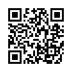 VE-B3T-IY-F4 QRCode