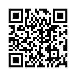 VE-BT1-IV-F3 QRCode