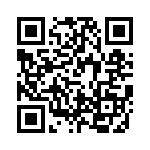 VE13P00131KED QRCode