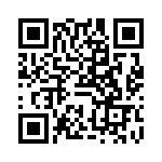 VE17P03850K QRCode