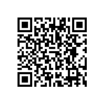 VG95234A-22-2P1X QRCode