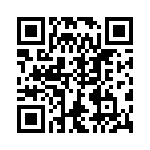 VG95234A181SN1 QRCode