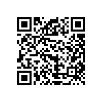 VG95234A2821PN1 QRCode