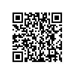 VG95234B1-18-11SY QRCode