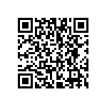 VG95234B1-22-2P1X QRCode