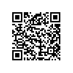 VG95234B1181SX1 QRCode