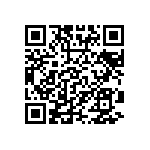 VG95234M-22-22PZ QRCode