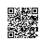 VG95234M2821PN1 QRCode