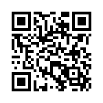 VG95234M365P1X QRCode