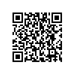 VG95234N1-24-28SN QRCode