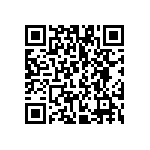 VG95234N2-22-2P1N QRCode