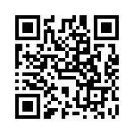 VG95234P4 QRCode