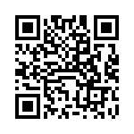 VI-23V-IX-B1 QRCode