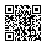 VI-B13-EV-B1 QRCode