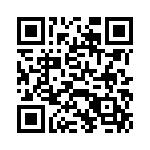 VI-B1P-IX-F3 QRCode