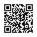 VI-B1V-EV-B1 QRCode