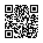 VI-B1V-IX QRCode