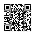 VI-B3J-IV-B1 QRCode