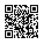 VI-B3N-IV-B1 QRCode