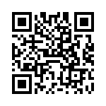 VI-B3P-EV-F1 QRCode