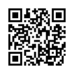 VI-B3T-EY-F3 QRCode