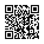 VI-B3V-IV-B1 QRCode