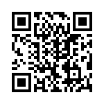 VI-B3Z-EV-B1 QRCode