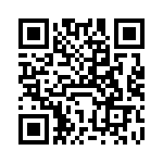 VI-B41-IX-B1 QRCode