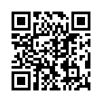 VI-BTP-EX-B1 QRCode