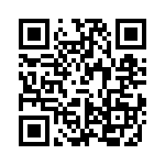 VI-J13-EY-S QRCode