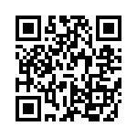 VI-JWT-CZ-B1 QRCode