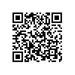 VJ0402D0R3BLCAC QRCode